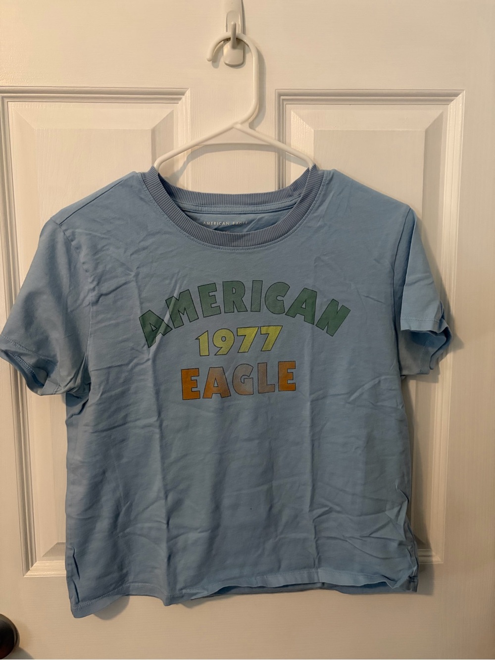 American Eagle Light Blue Short Sleeve Tee with Green, Yellow & Brown Graphics